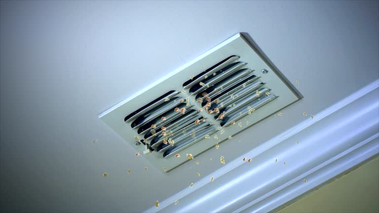 Best Duct Cleaning for Homes  in Oneida, TN