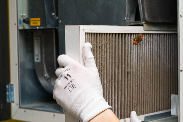 Best Affordable Duct Cleaning Services  in Oneida, TN