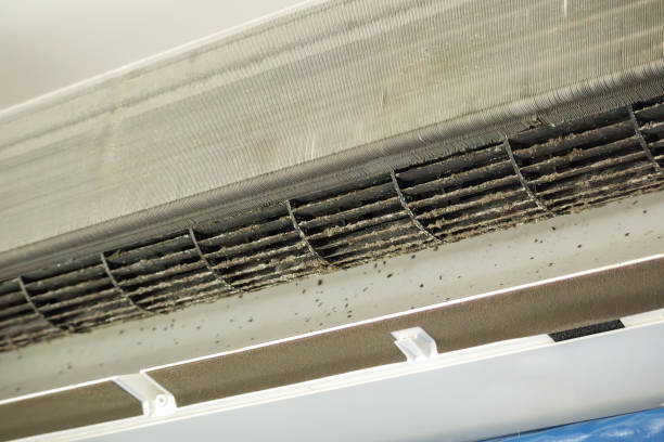 Best Air Vent Cleaning Services  in Oneida, TN